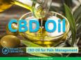 Use of CBD Oil for Pain Management PowerPoint PPT Presentation