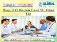 Hospital IT Director Email Marketing List PowerPoint PPT Presentation