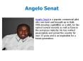 Angelo Senat Commercial Pilot PowerPoint PPT Presentation