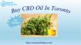 Buy CBD Oil In Toronto, Get 10% Off