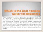 Which is the best Guitar for Beginners