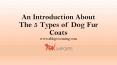 An Introduction About The 5 Types of Dog Fur Coats PowerPoint PPT Presentation