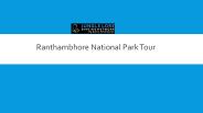 Ranthambhore National Park Tour
