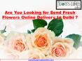 Are You Looking for Send Fresh Flowers Online Delivery to Delhi ? PowerPoint PPT Presentation