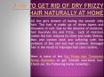 How to get rid of Frizzy Hair Naturally at Home PowerPoint PPT Presentation