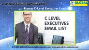 Kansas C-Level Executives Leads