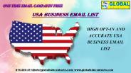 USA Business Email List