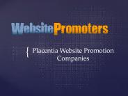 Placentia Website Promotion Companies