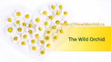 Buy Wedding bulk flowers in Edmonton