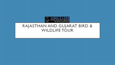Rajasthan and gujarat bird and wildlife tour