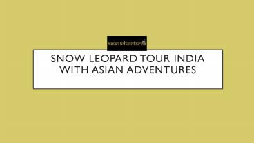 Snow leopard tour india
