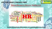 Human Resources Director Mailing List