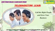 Telemarketing  Leads