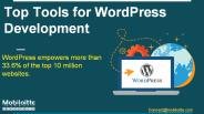 Top Tools for WordPress Development