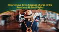 How to Save Extra Baggage Charge in the American Airlines Flights PowerPoint PPT Presentation