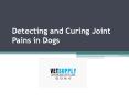 Detecting and Curing Joint Pains in Dogs PowerPoint PPT Presentation