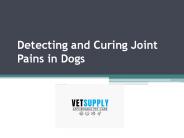 Detecting and Curing Joint Pains in Dogs