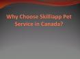Why choose Skilliapp Pet Service in Canada? PowerPoint PPT Presentation