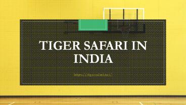 Tiger Safari in India (1)