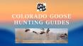 Colorado Goose Hunting Guides PowerPoint PPT Presentation