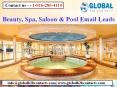 Beauty, Spa, Saloon & Pool Email Leads PowerPoint PPT Presentation
