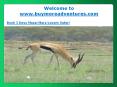 Book 3 Days Masai Mara Luxury Safari PowerPoint PPT Presentation