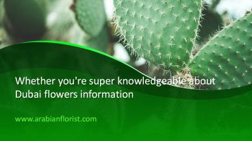 Whether you're super knowledgeable about Dubai flowers information_cheap flowers in sharjah - arabian flower