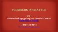 Is water leakage giving you trouble? Contact Plumbers in Seattle PowerPoint PPT Presentation