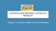 Best Stay Near Nainital