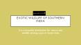 exotic wildlife of southern india PowerPoint PPT Presentation