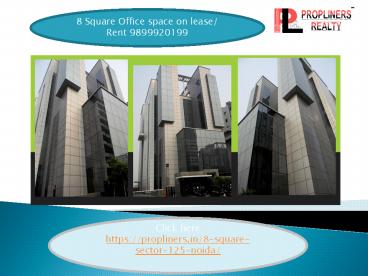 8 square noida sector 125- 9899920199 rent lease noida