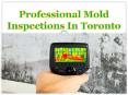 Professional Mold Inspections In Toronto PowerPoint PPT Presentation
