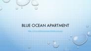 Oceanfront Resort Palm Beach Queensland