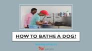 How To Bathe A Dog?