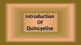 Introduction of Quincyelise PowerPoint PPT Presentation