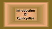 Introduction of Quincyelise