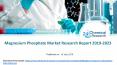 Magnesium Phosphate Market Research Report 2019-2023 PowerPoint PPT Presentation
