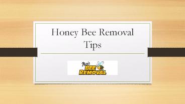 Honey Bee Removal Tips