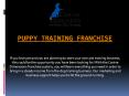 Puppy Training Franchise PowerPoint PPT Presentation