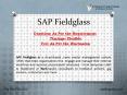 Fieldglass PPT, SAP Fieldglass PPT PowerPoint PPT Presentation