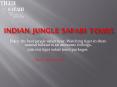 Indian jungle safari tours- Tiger safari PowerPoint PPT Presentation