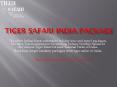 Tiger safari india package- Tiger safari PowerPoint PPT Presentation