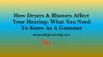 How Dryers & Blasters Affect Your Hearing: What You Need To Know As A Groomer PowerPoint PPT Presentation