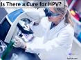 Is There a Cure for HPV? (1) PowerPoint PPT Presentation