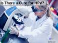 Is There a Cure for HPV? PowerPoint PPT Presentation