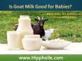 Is Goat Milk Good for Babies? PowerPoint PPT Presentation