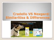 Credelio VS Nexgard: Similarities & Differences