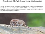 Fresh From A Title Fight Arsenal Facing Mice Infestation