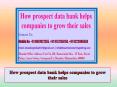 How prospect data bank helps companies to grow their sales PowerPoint PPT Presentation