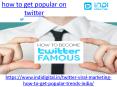How to get popular on twitter (1) PowerPoint PPT Presentation